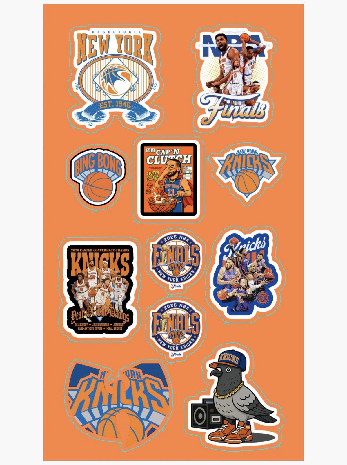 New York Knicks Sticker Sheet 4×7” NBA Finals 11 Vinyl Stickers