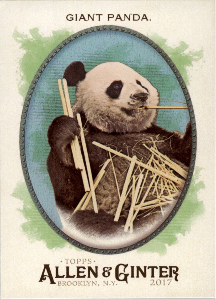 2017 Topps Allen and Ginter Hot Box Foil #276 Giant Panda – BB