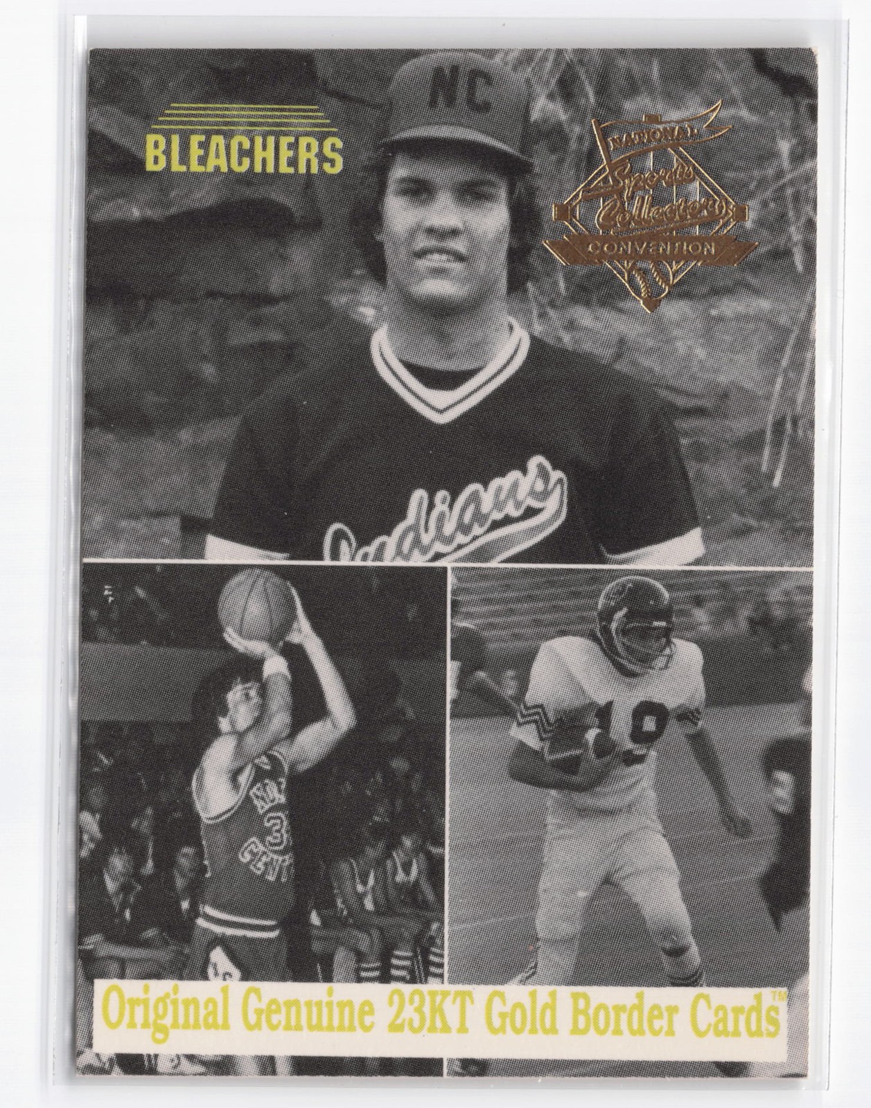 Ryne Sandberg 1993 Bleachers 23KT Ryne Sandberg #NNO