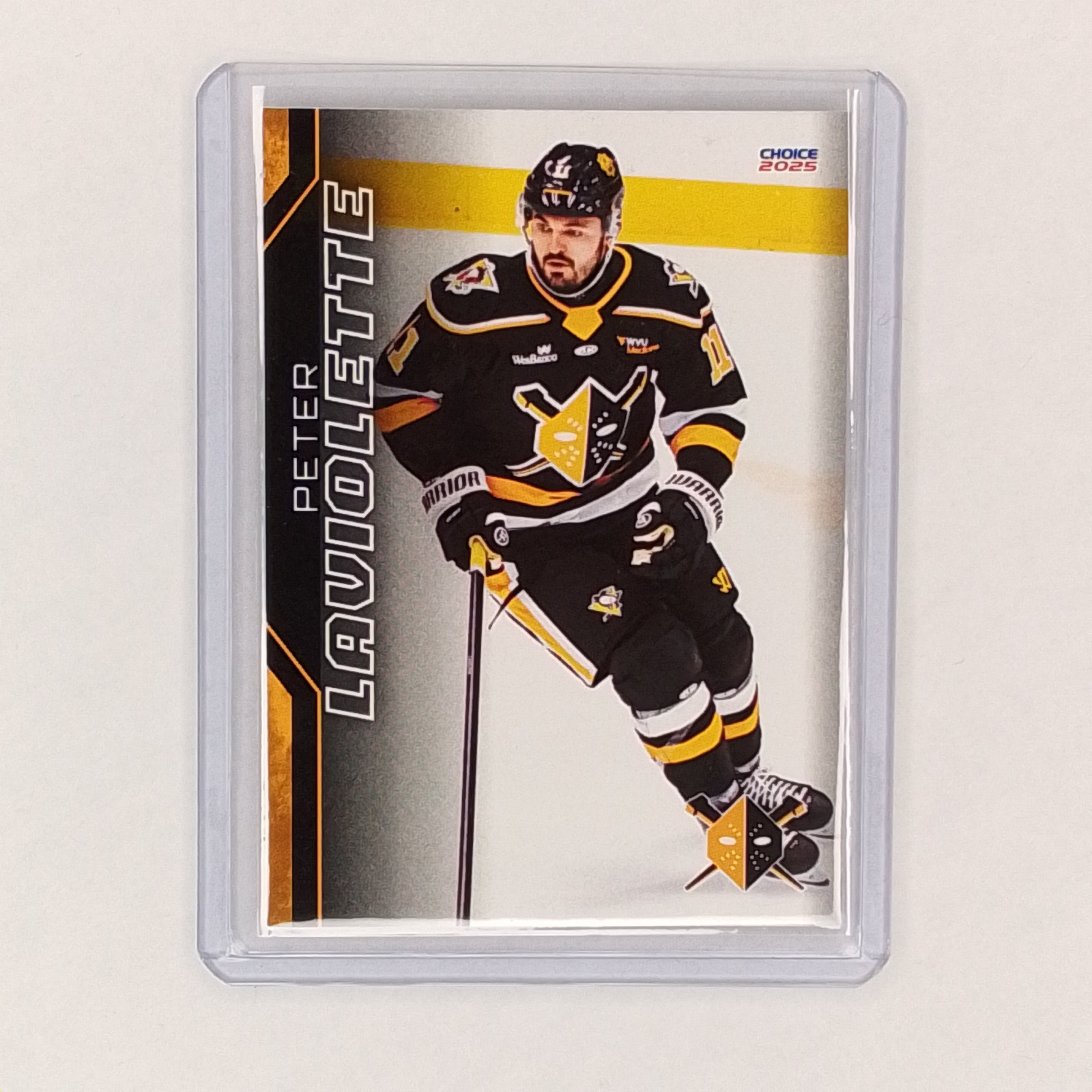 2024-25 Choice Wheeling Nailers Peter Laviolette #16 Hockey Card